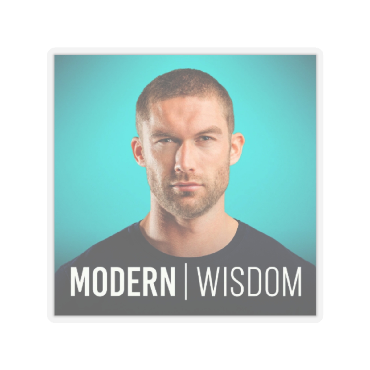 Modern Wisdom Sticker