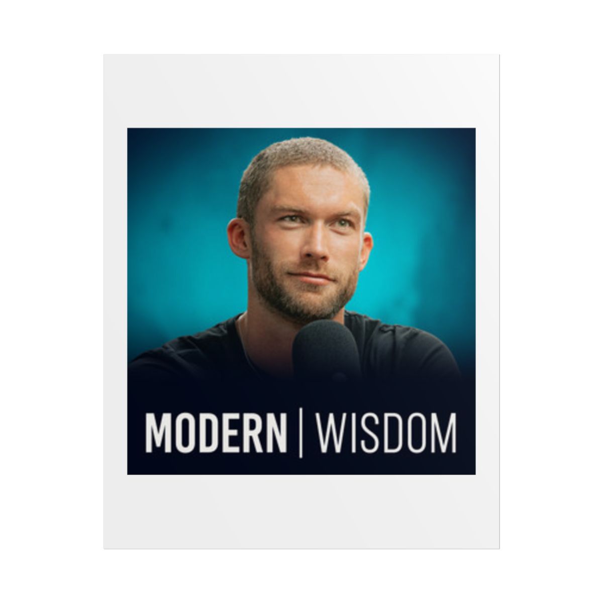 Modern Wisdom Poster #2