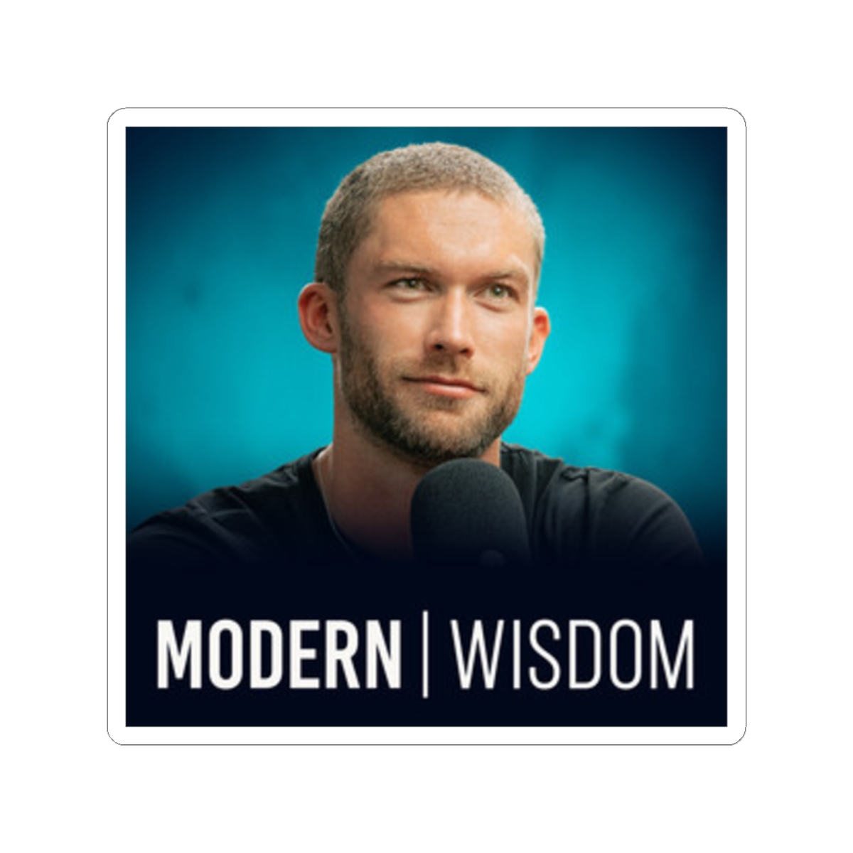Modern Wisdom Sticker #2